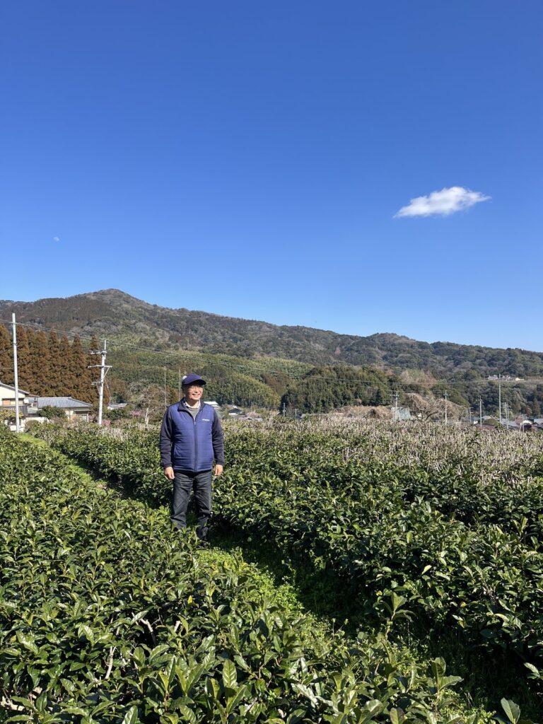 脊振山のふもとに広がる栄西茶の茶畑